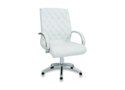 LİVADİ FİLELİ ÇALIŞMA KOLTUĞU