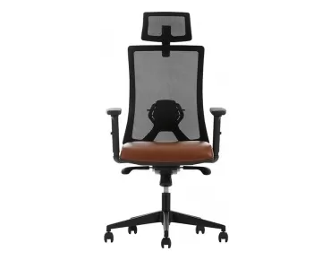 ALBİNA MAKAM KOLTUĞU