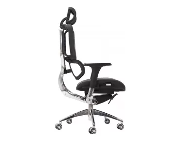 ARSİ MAKAM KOLTUĞU