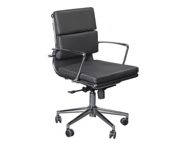 AYLE MİNDERLİ ÇALIŞMA KOLTUĞU