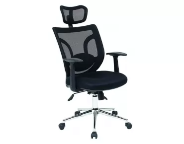 BOLİZ MAKAM KOLTUĞU