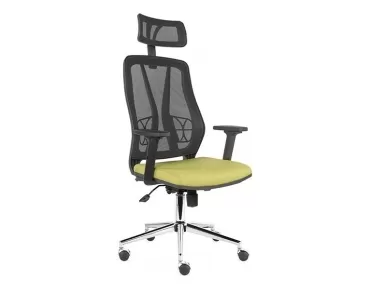 FLORİDA MAKAM KOLTUĞU