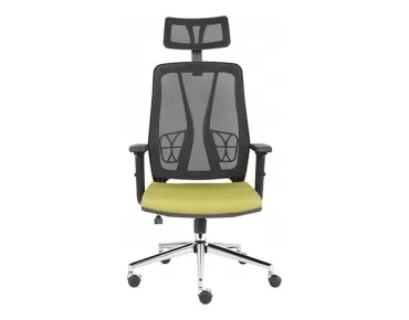 FLORİDA MAKAM KOLTUĞU